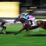 天候が競馬に与える影響：天候に適応するためのヒント